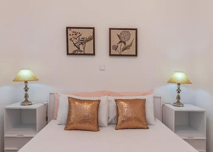 - M M Garden - Magnifico T2