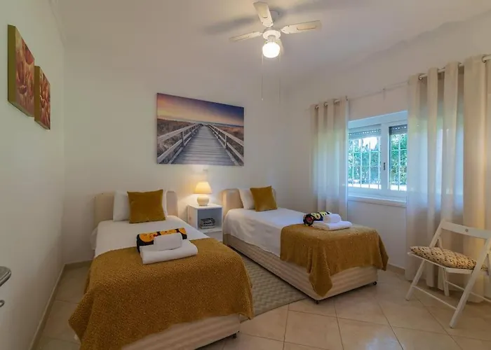 - M M Garden - Magnifico T2