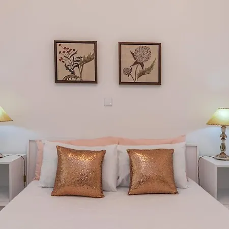 - M M Garden - Magnifico T2