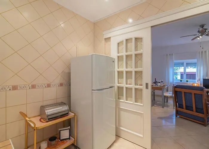 Apartment - M M Garden - Magnifico T2